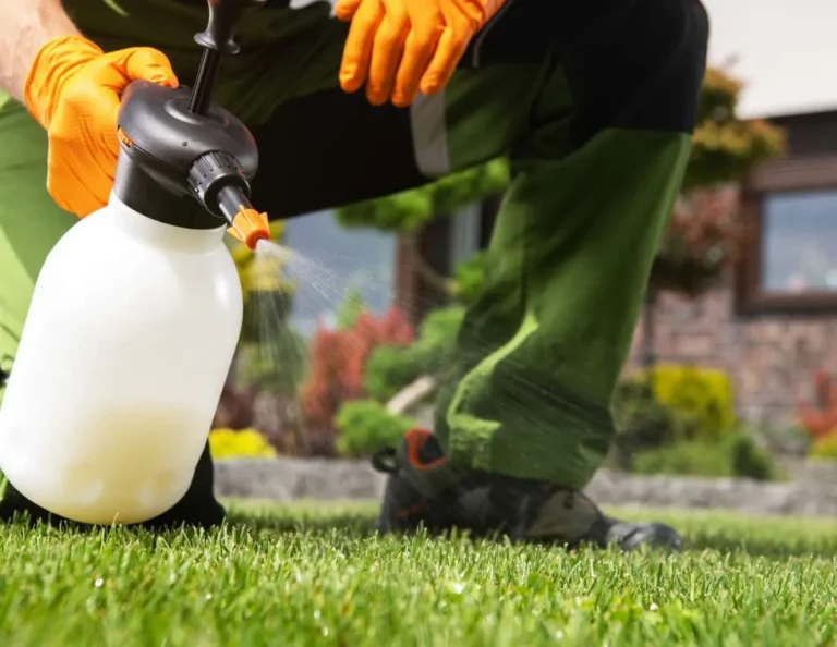 Yard Deodorizer Service